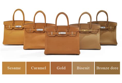 hermes biscuit vs gold|are Hermes bags worth it.